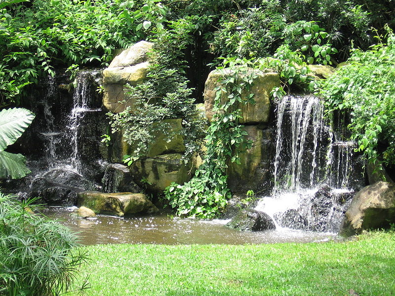 800pxWetlands_Waterfalls_Jurong_Bird_Par-1.jpg