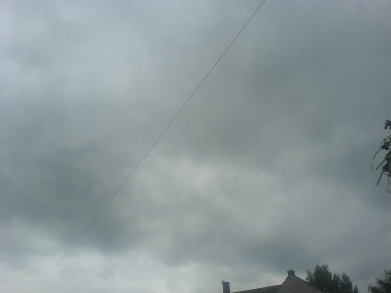 DSC00017-1.jpg