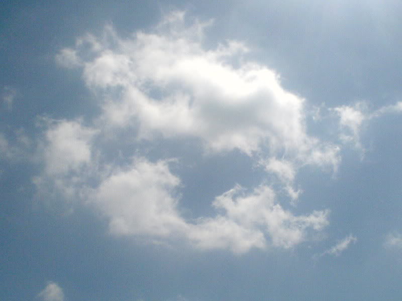 DSC00019-1.jpg
