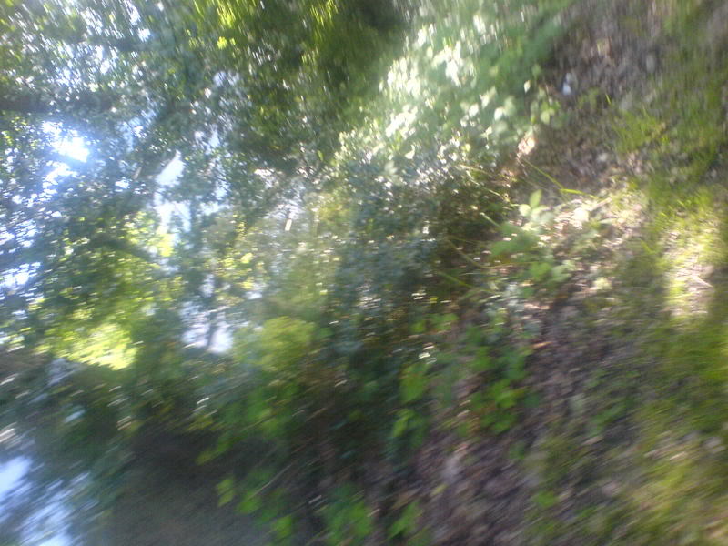 DSC00021-1.jpg