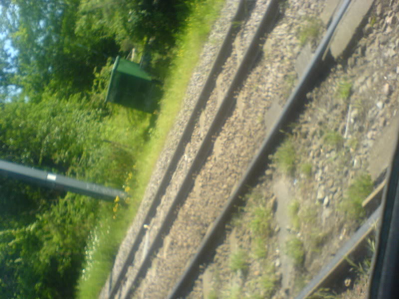 DSC00023-1.jpg