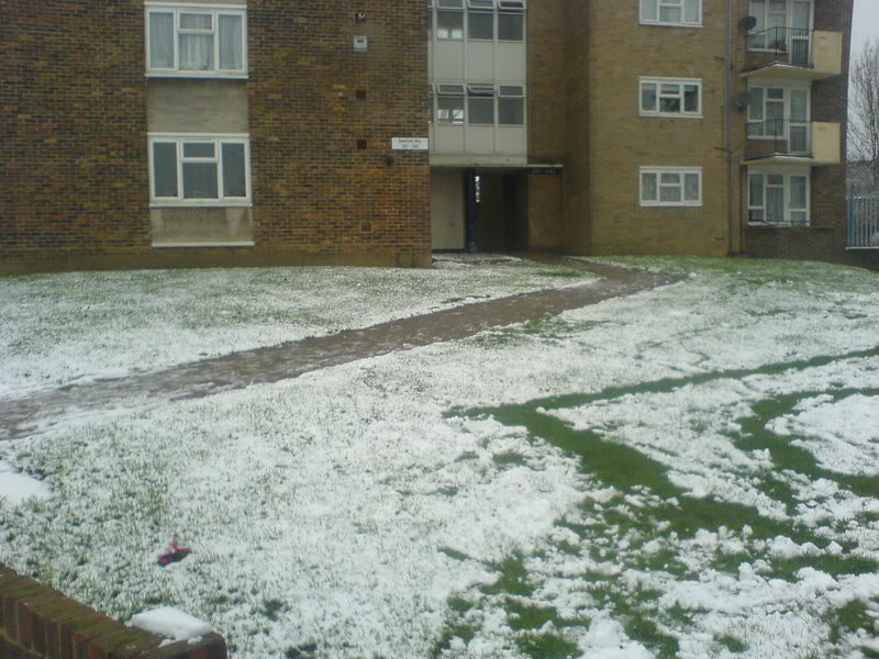 DSC00184-1.jpg