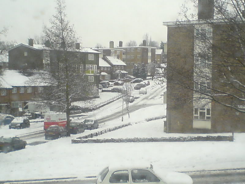 DSC00217-1.jpg
