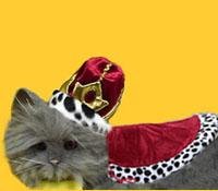 KittyRoyale-1.jpg
