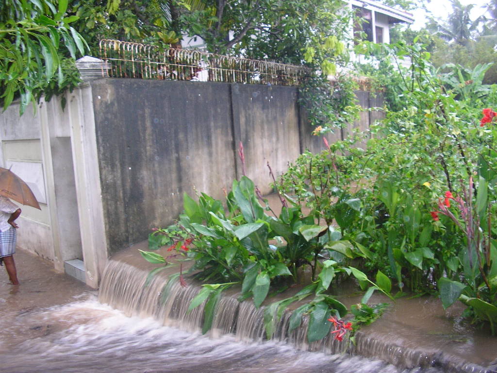 P1010008-1.jpg