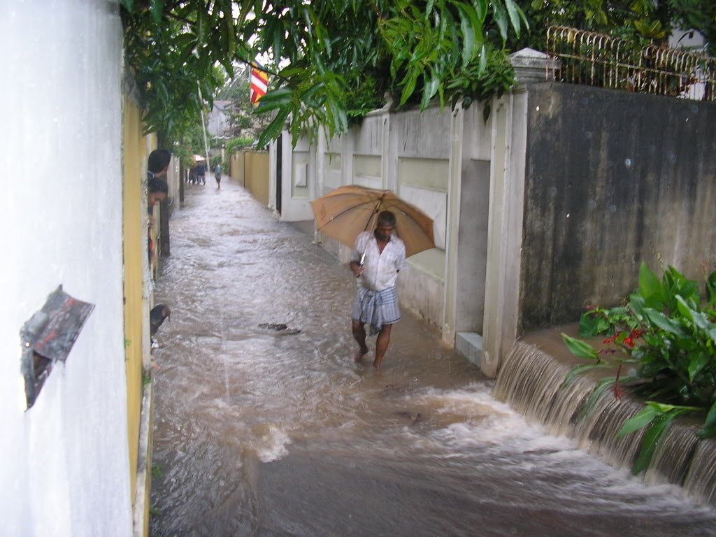 P1010009-1.jpg