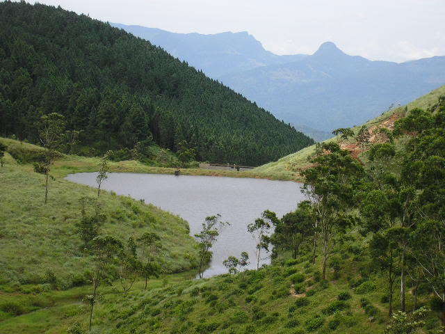 P1010195-1.jpg