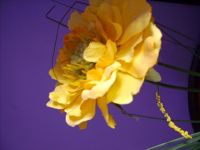 PICT0272-1.jpg