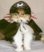 PirateKitty-1.jpg