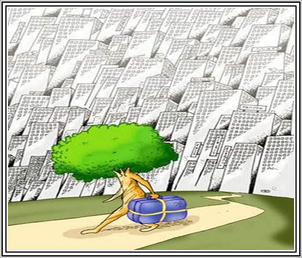 Resim38-1.jpg