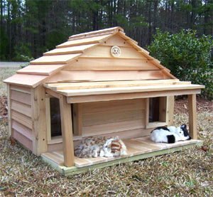 a_2_cats_in_cathouse03-1.jpg