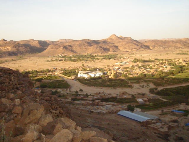dammaj_2-1.jpg