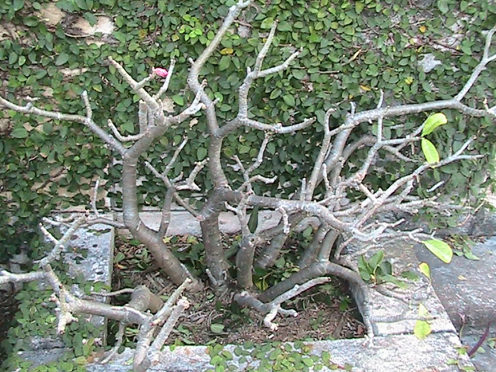 img_0183-1.jpg