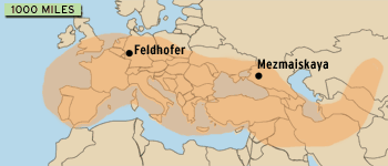 neanderthal_map-1.gif