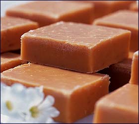 picfudge-1.jpg