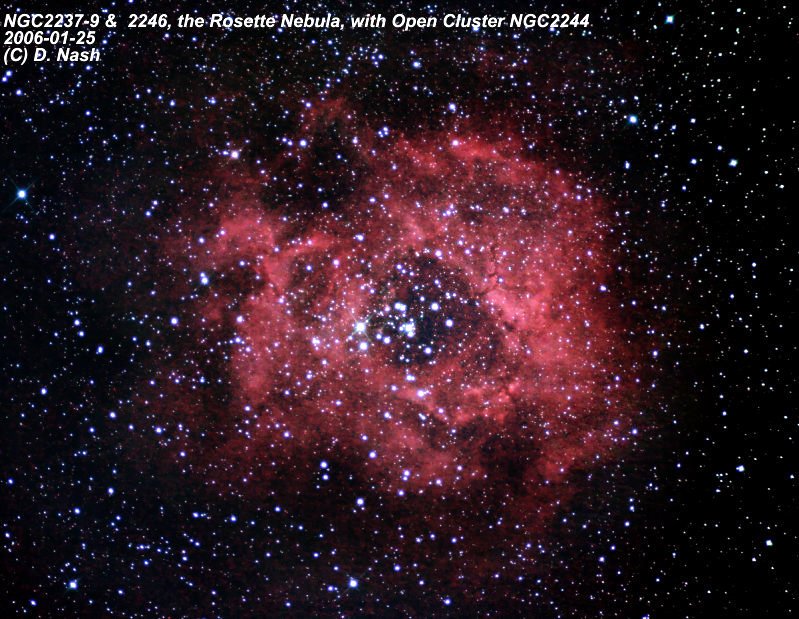 rosette_20060125_1a-1.jpg