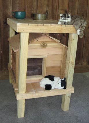 wildcathouse_platformloft_m-1.jpg