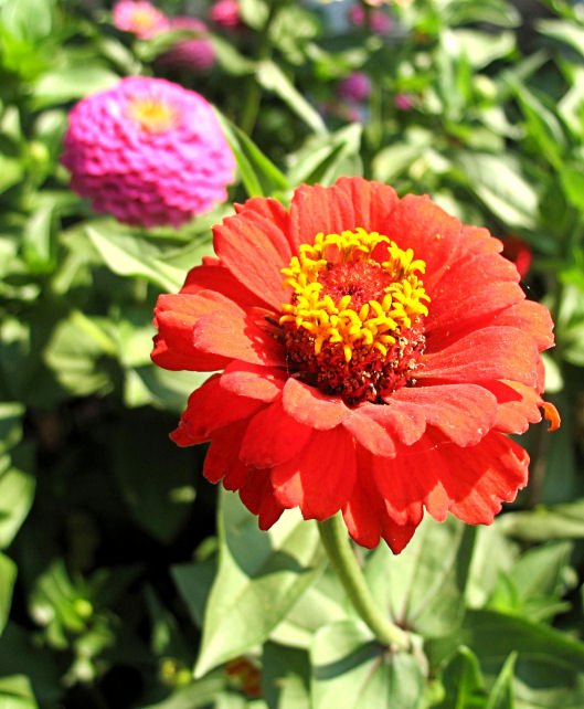 68341122r50bE2IqIMG_1708JPG-1.jpg