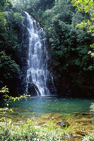 9910be_bflyfalls-1.jpg