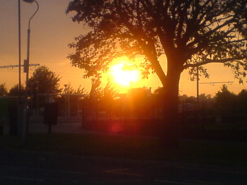 DSC00034-1.jpg