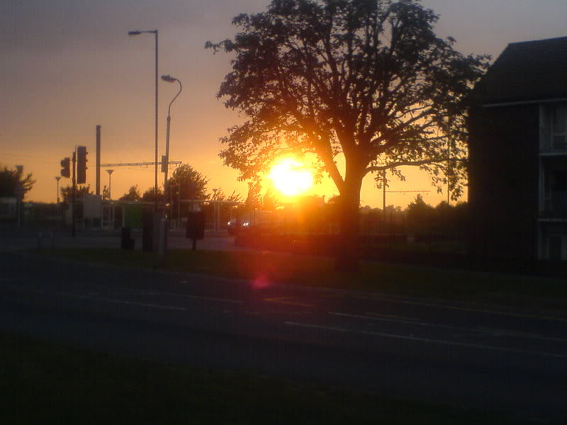 DSC00035-1.jpg