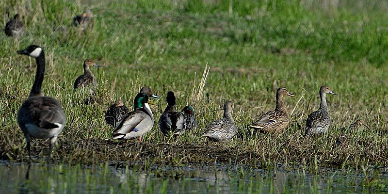 apr2506b041group-1.jpg