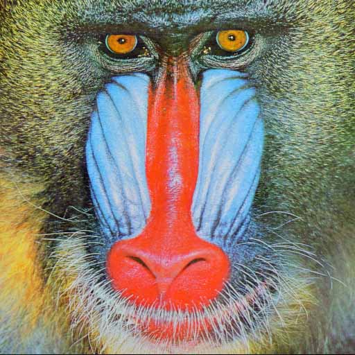 baboon-1.jpg