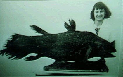 firstcoelacanth 1 - Just need a little bit of info from evolutionists.