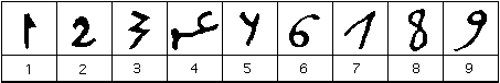 marrakushi-1.gif