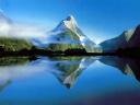naturethumbnail-1.jpg