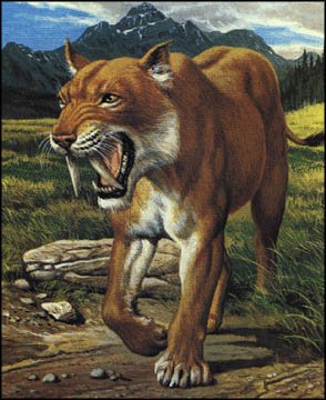 sabertooth-1.jpg