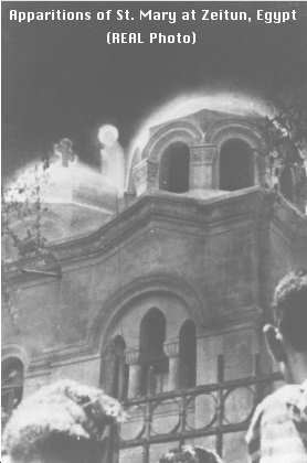 zeitun-1.jpg
