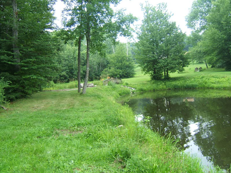DSCF1066-1.jpg