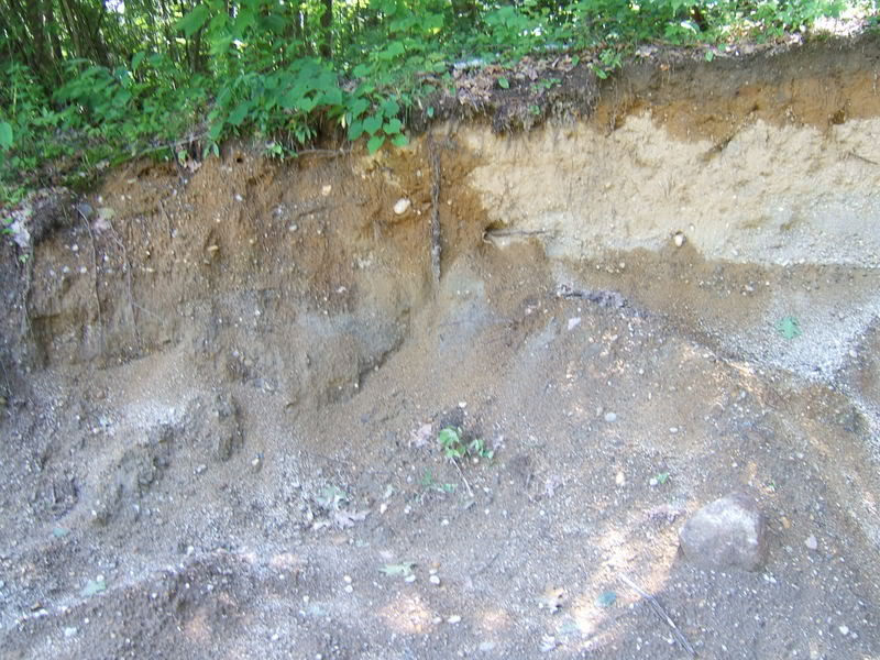 DSCF1140-1.jpg