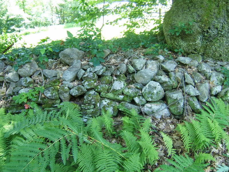 DSCF1182-1.jpg