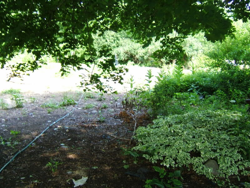 DSCF1215-1.jpg