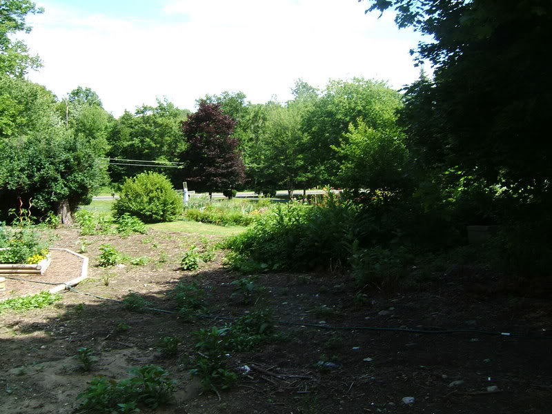 DSCF1218-1.jpg