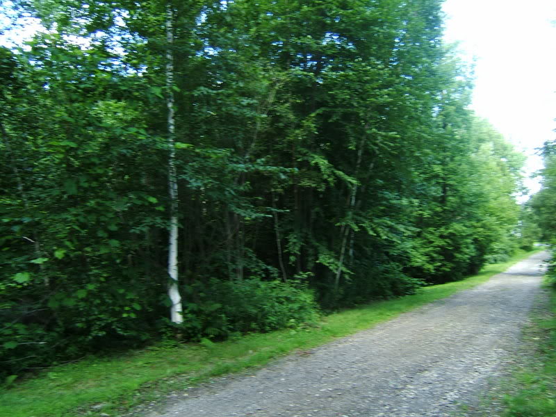 DSCF1220-1.jpg