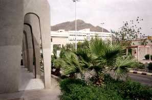 Some20Trees20on20Campus jpg 1 - Umm Al-Quraa University - Virtual Tour