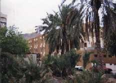 The20Library_jpg-1.jpg