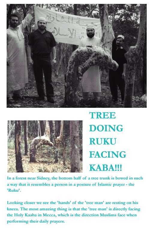 treerukubetter-1.jpg