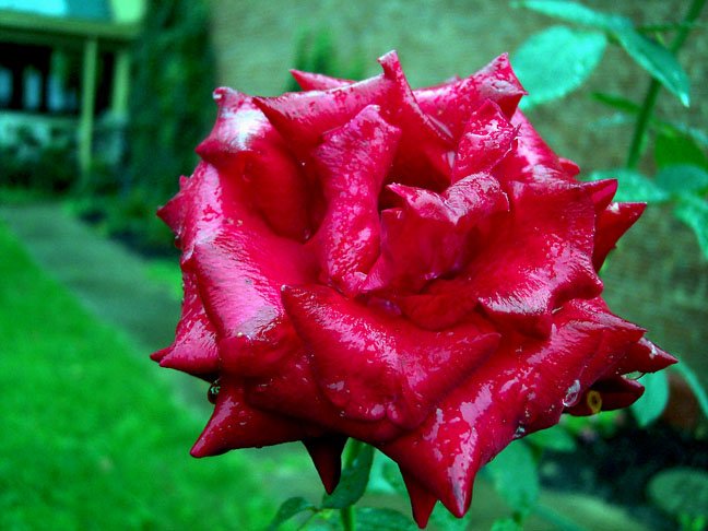 67535885XJAvWxiu005JPG-1.jpg