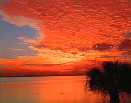 Tidy_Sunset-2.jpg