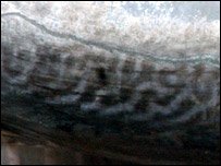 _41660538_closeup203-1.jpg