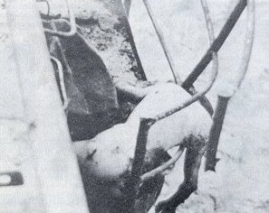 300-1.jpg