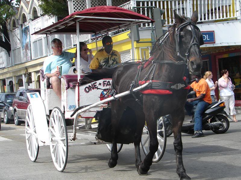 DSC00309-1.jpg