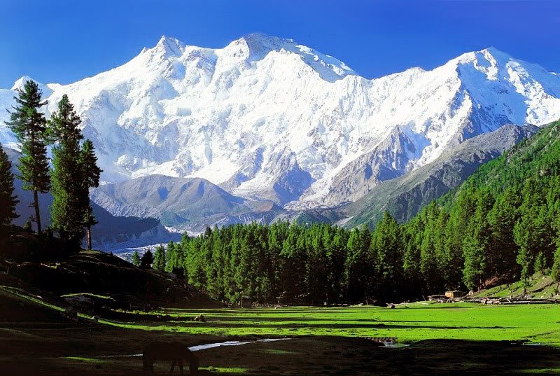 nangaparbat-2.jpg