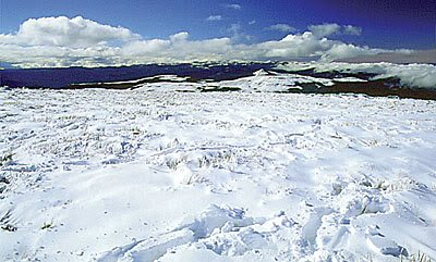 neve98-1.jpg