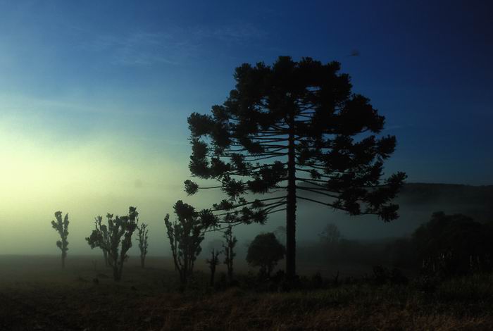paisagem030-1.jpg