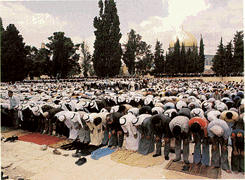 uiatm4b 1 - Prayer towards Mecca?